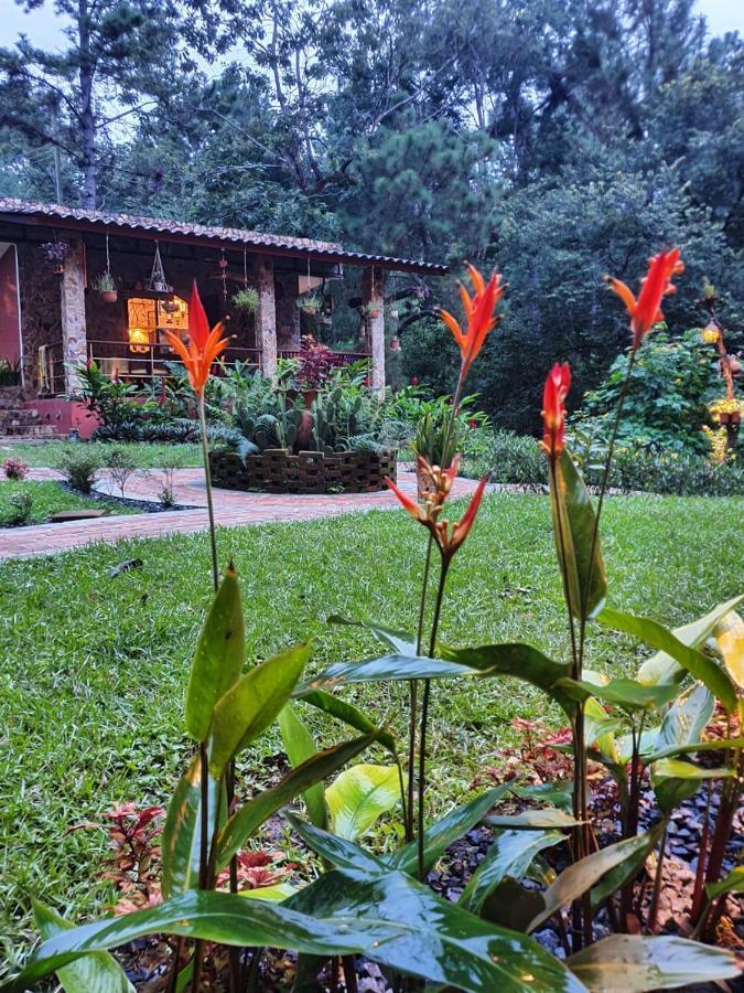 Villahermosa B&B San Carlos Exterior photo